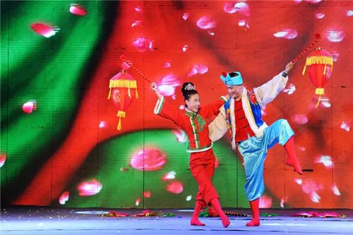 组织开展的群众文化活动,"中国少先队事业发展中心社会艺术水平舞蹈公
